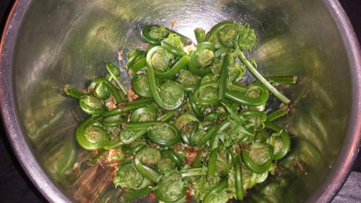 Freshly Picked Fiddleheads