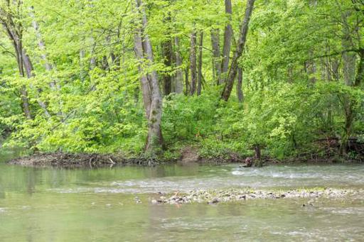 River Crossing