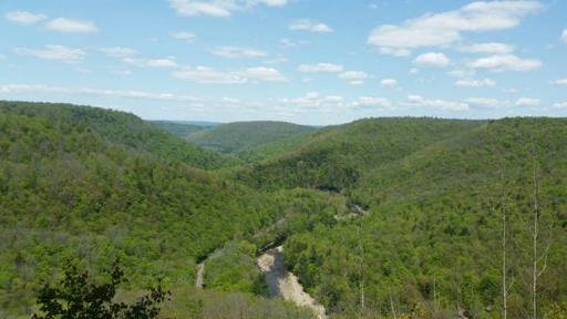 Worlds End Loyalsock Vista