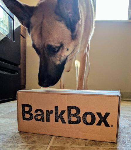 Bark Box arrived