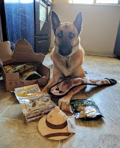 Contents of Bark Box