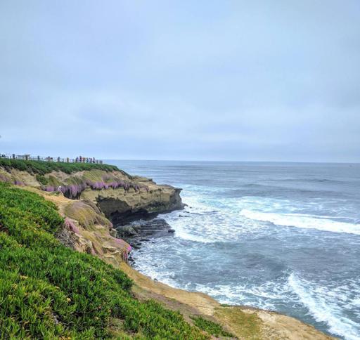 La Jolla Park View