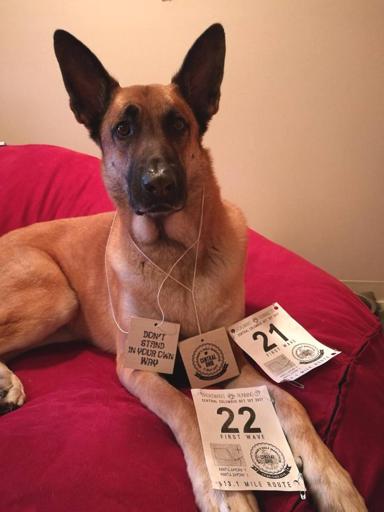 Viira and bibs and Medals from Brokeman's Running Company Central Ohio Race Half Marathon, 10 Miler, and 5 miler 2017